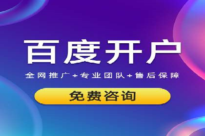 SEM推广优化策略：成功案例解析